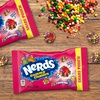 image:imageNERDS Gummy Clusters Candy Treat Packs Rainbow Crunchy and Gummy 30 oz 60 ctRainbow