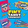 image:imageNERDS Gummy Clusters Candy Treat Packs Rainbow Crunchy and Gummy 30 oz 60 ctRainbow