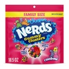 image:imageNERDS Gummy Clusters Candy Treat Packs Rainbow Crunchy and Gummy 30 oz 60 ctRainbow