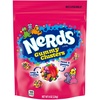 image:imageNERDS Gummy Clusters Candy Treat Packs Rainbow Crunchy and Gummy 30 oz 60 ctRainbow